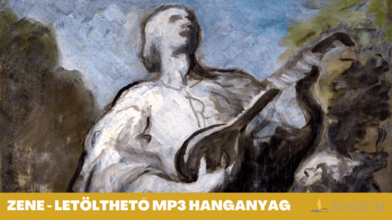 premiumcsomag-15